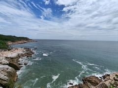 -广东惠东海龟国家级自然保护区