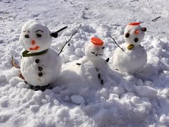 -大兴滨河森林公园