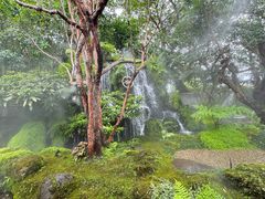 -Chom Cafe and Restaurant