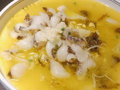 -江南大院松鼠桂鱼(奉贤宝龙店)