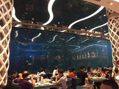 -瑞德姆美人鱼海底演艺主题餐厅(亚龙湾店)