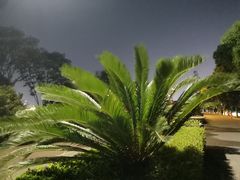 -艾溪湖湿地公园