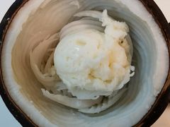 -志龙皇冠吃货椰子铺