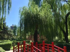-玲珑塔公园