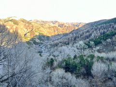 -雁门关景区