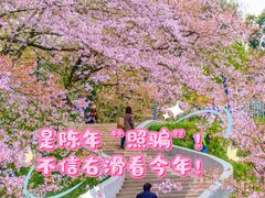 -杭州少年儿童公园