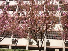 -山东大学(千佛山校区)