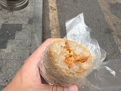 -范嬢嬢春森路糯米团