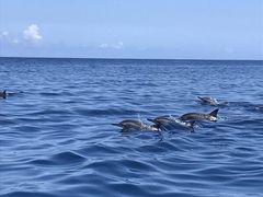 -Moka Bros 摩卡站(西单大悦城店)