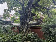 -三苏祠