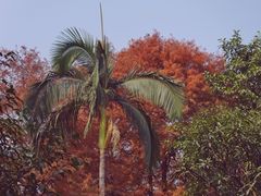 -深圳野生动物园