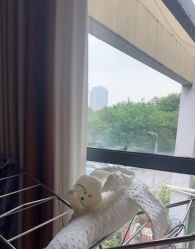 -安琪朵朵独栋花园月子中心