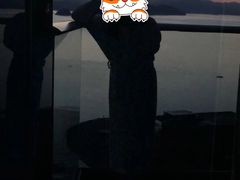 -绿城千岛湖喜来登度假酒店