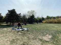 -大兴滨河森林公园