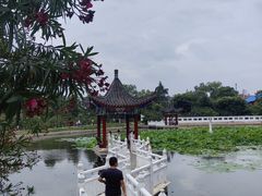 -青龙山国家森林公园