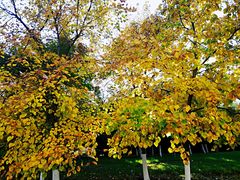 -长春世界雕塑园冰雪艺术天地