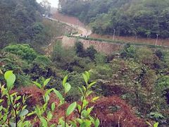 -火炉山森林公园
