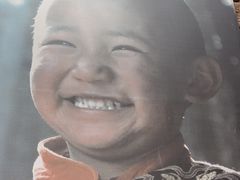 -古树酸奶(八廓南街店)