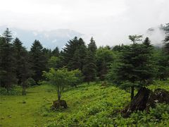 -硗碛藏寨·神木垒景区