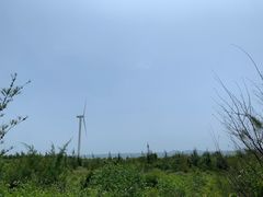 -汕尾风车岛