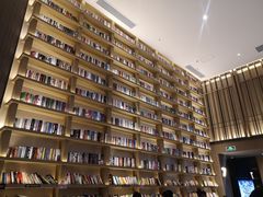 -深影国际影城(学院南路店CGS中国巨幕店)