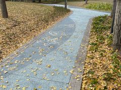 -宁波儿童公园(鄞州区)