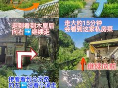 -红山村