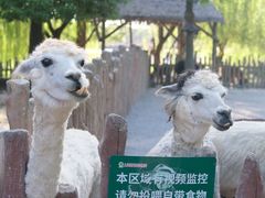 -上海野生动物园