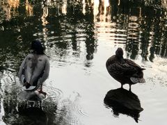 -玲珑塔公园