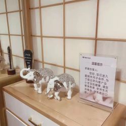 -爱陪伴尊享月子中心(国际店)