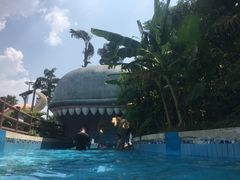 -重庆海昌加勒比海水世界