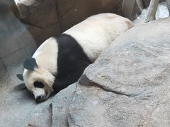 -宁波野生动物园