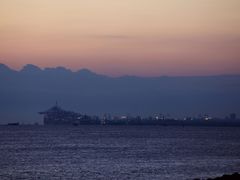 -吴淞炮台湾湿地森林公园烧烤区