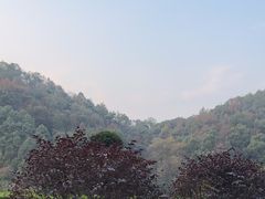 -桃花岭景区