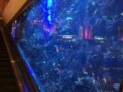 -迪拜帆船酒店海底餐厅