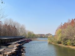 -溱湖国家湿地公园