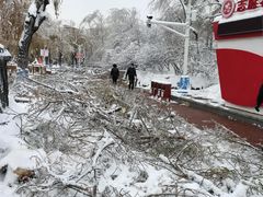-建国公园