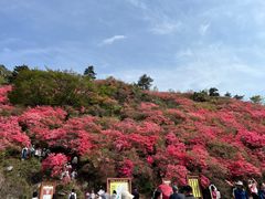 -木兰云雾山
