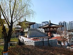 -西安青龙寺遗址景区