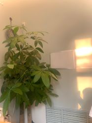 -摩睫+皮肤管理·科学美容中心