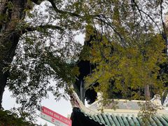 -白帝城·瞿塘峡景区