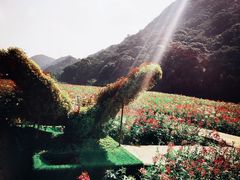 -广州市石门国家森林公园