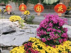 -团结湖公园