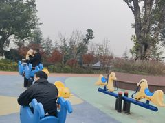 -铁山坪森林公园