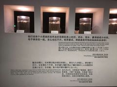-侵华日军南京大屠杀遇难同胞纪念馆