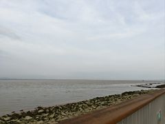 -大湾区中央湿地公园