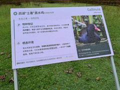 -福道