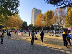 -西苑公园