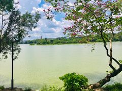 -惠州西湖