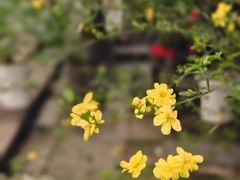 -伴山茶苑·围炉煮茶